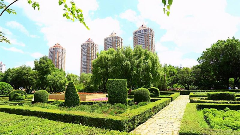 岩石边坡绿化：技术方案与材料解析**