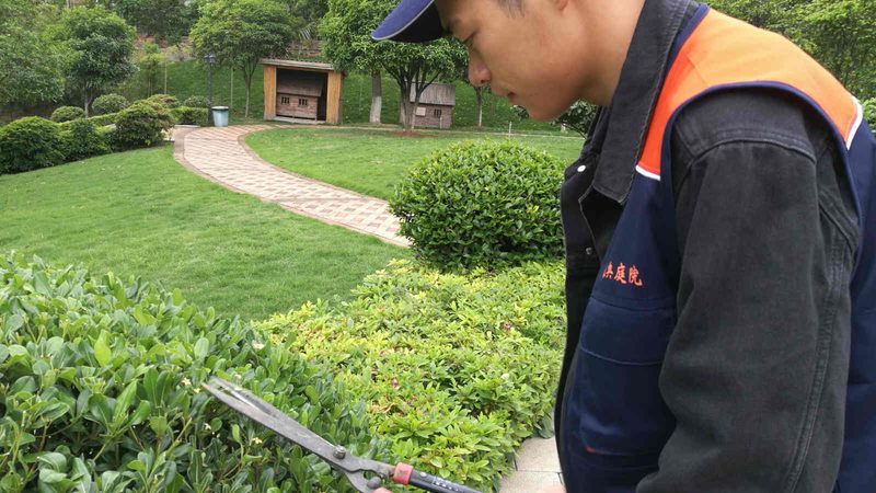 行业现状：大项目看品牌，小项目看落地