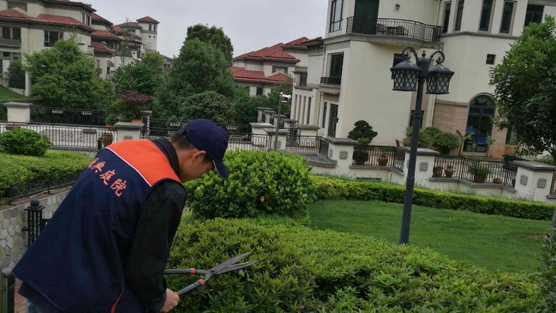 屋顶绿化灌溉系统压力参数揭秘