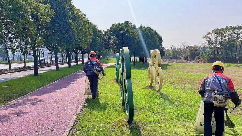 市政绿化灌木冠幅：规格背后的科学**