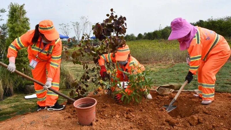 市政园林景观设计报价：如何科学评估与决策