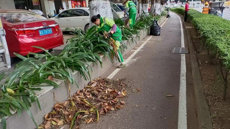 乡村庭院蔬菜花园设计：打造绿色生活空间**
