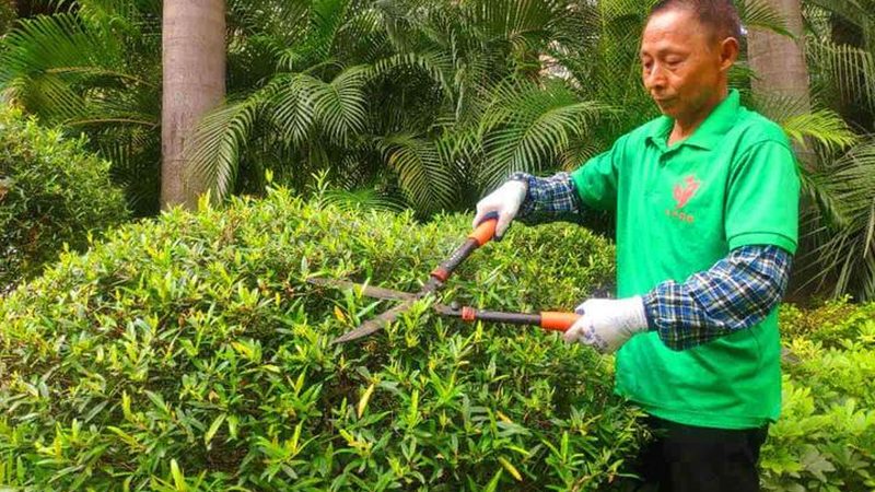 立体绿化技术规范标准全解析