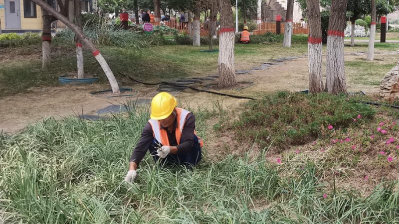 苏州中式园林，厂家直销的魅力与考量**